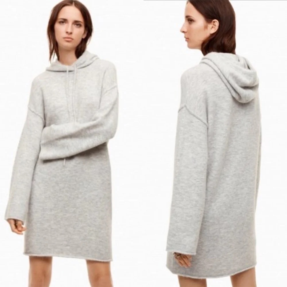 Wilfred Free Sissi Dress in Light Gray Size Small Aritzia #65101